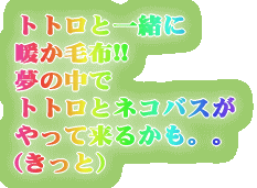 トトロと一緒に 暖か毛布!!